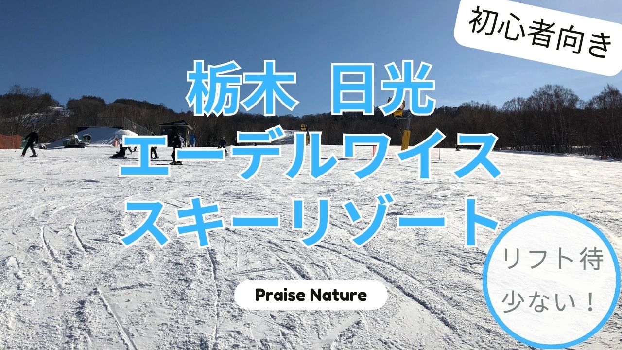 栃木 日光 エーデルワイススキーリゾート スキー場