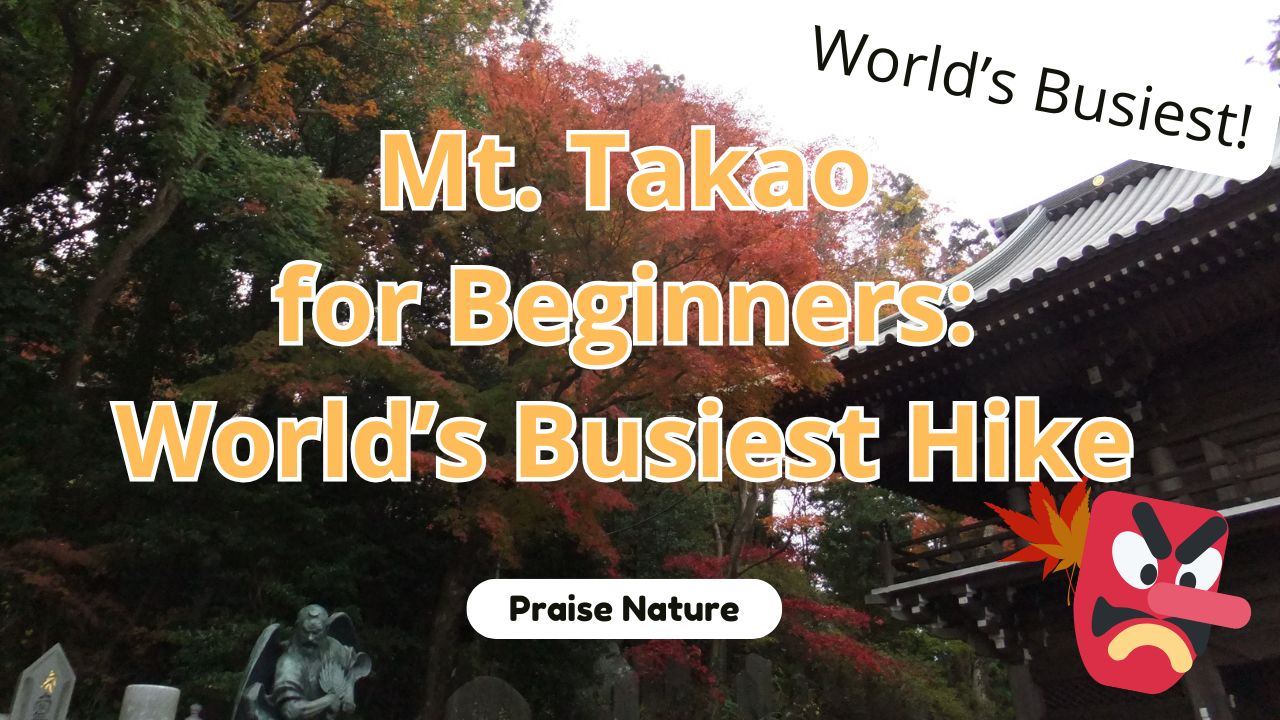 Mt. Takao world beginners guide how to climb