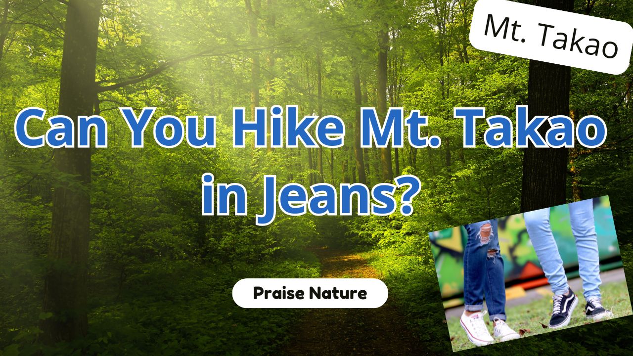 Mt. Takao hike jeans