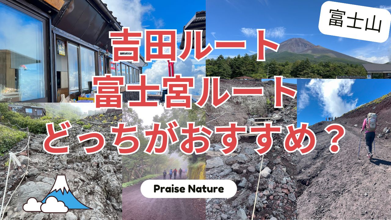 富士山 吉田ルート 富士宮ルート どっち 比較 おすすめ