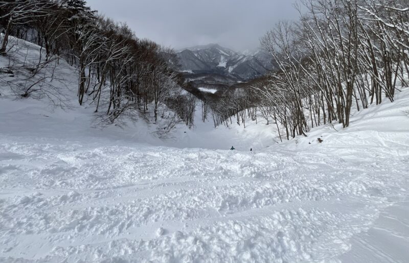 水上高原スキーリゾート ももんがコース