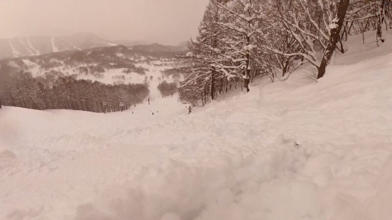 水上高原スキーリゾート 熊ぼっこすコース