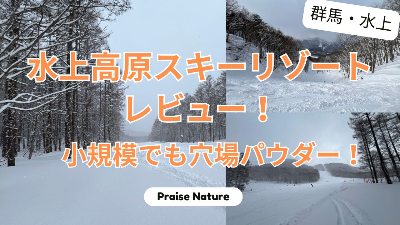 水上高原スキーリゾート レビュー