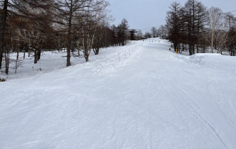 ピラタス蓼科スノーリゾート 石楠花コース上部