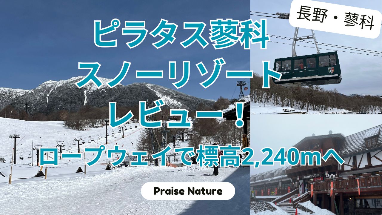 ピラタス蓼科スノーリゾート レビュー