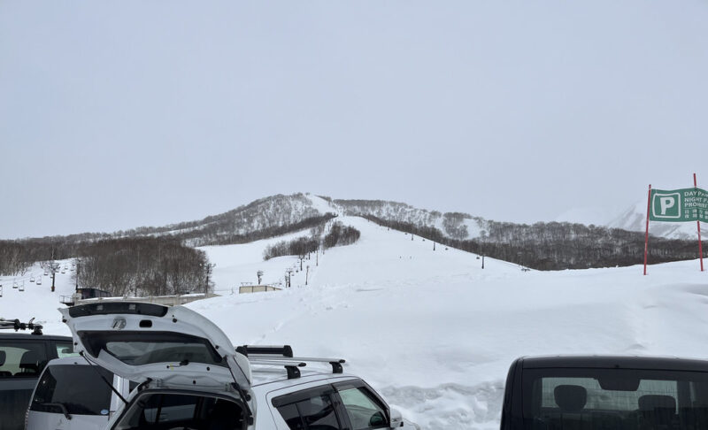 ニセコ モイワスキー場