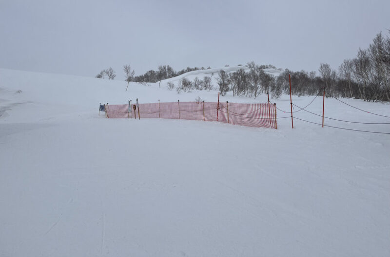 ニセコ モイワスキー場