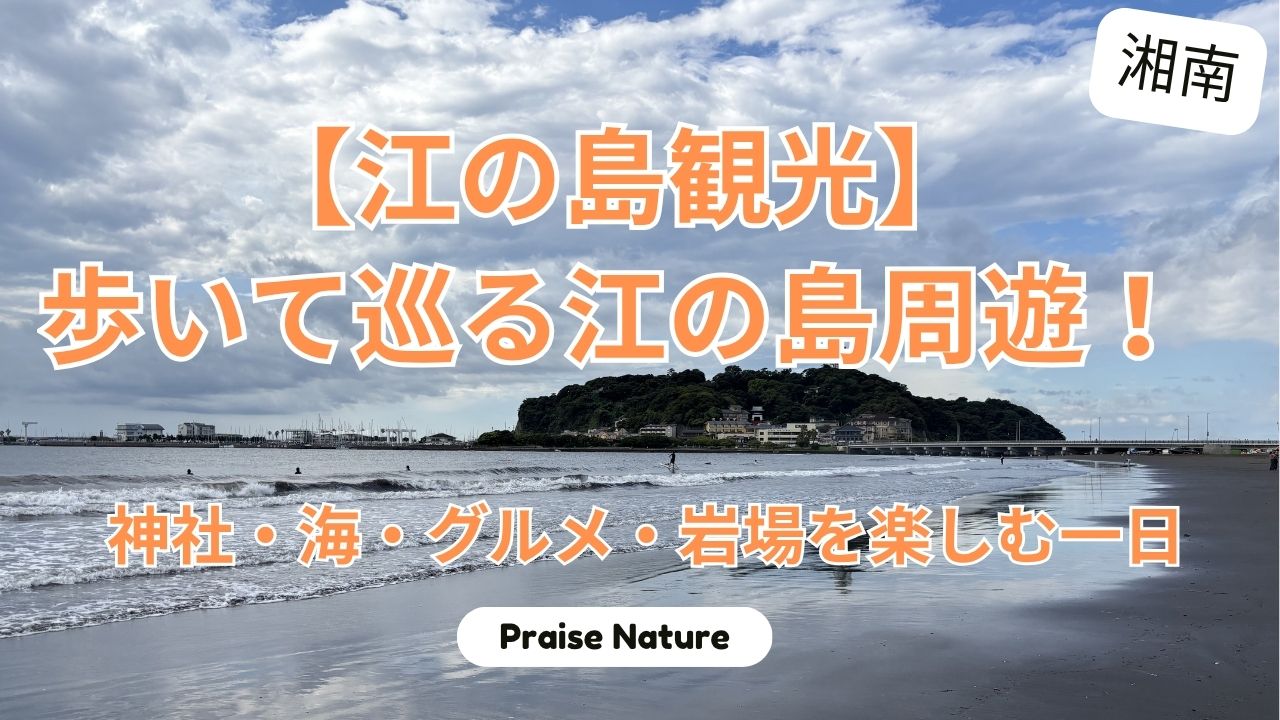 江の島 観光 周遊 神社 海 グルメ