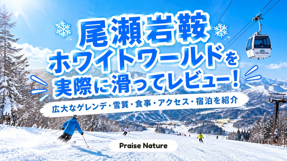尾瀬岩倉 ホワイトワールド 実際 レビュー ゲレンデ 雪質 食事 アクセス 宿泊