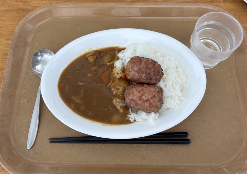 尾瀬岩倉 ホワイトワールド フェスタ ハンバーグカレー